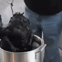 Fail No Way GIF by Respective