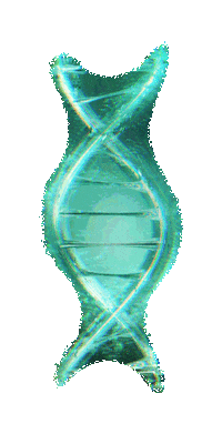 Hard Driver Hardstyle Sticker by Dirty Workz