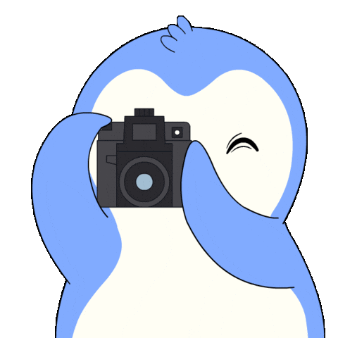 Penguin Smile Sticker by Pudgy Penguins