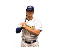 College Sports Fun Sticker by Delaware Blue Hens