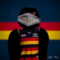 afl waving GIF by Adelaide Crows
