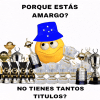 Cruzeiro Esporte Clube GIF