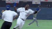 Celebrate Home Run GIF by Toronto Blue Jays