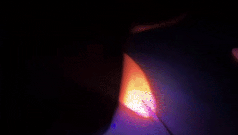 zaidmarji giphyupload GIF