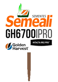 Semeali Sticker by semealisementes