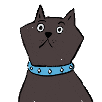 Black Cat Illustration Sticker by Zezaz