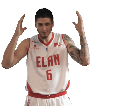 Sport Basketball Sticker by Elan Chalon