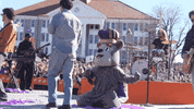 Nick Jonas College GIF by James Madison University