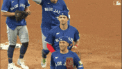 Blue Jays Baseball GIF by Toronto Blue Jays