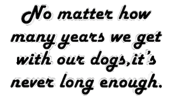 Dog Sticker by OpticalArtInc.