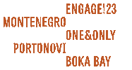 E Montenegro Sticker by Engage!