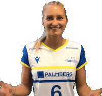 SSCPalmberg_Schwerin volleyball ssc sscpalmbergschwerin sscschwerin Sticker