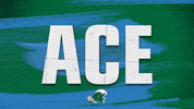 greenwave volleyball 2019 9 tulane GIF