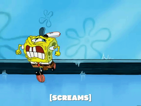 season 5 new digs GIF by SpongeBob SquarePants