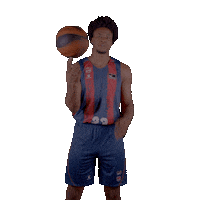 Liga Endesa Spinning Sticker by ACB