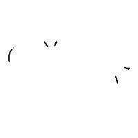 designer_luanavieira gratidao designerluanavieira agradecer grata Sticker