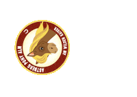 Pony Going Sticker by SkiWelt Wilder Kaiser - Brixental