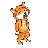 Sad Bitcoin Sticker by $DOG