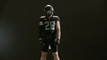 Oregon Football GIF by GoDucks