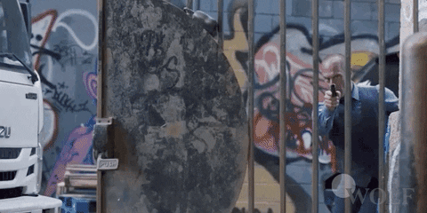 Protect Dick Wolf GIF by Wolf Entertainment