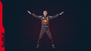 Red Bull F1 GIF by Red Bull Racing