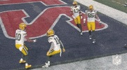 National Football League GIF by NFL