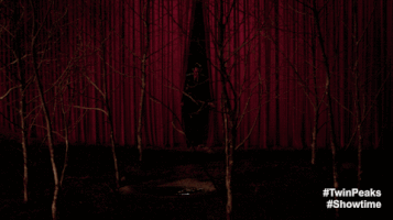 Twin Peaks Finale GIF by Twin Peaks on Showtime