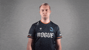 Esports No GIF by Rogue