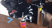 beer tech GIF