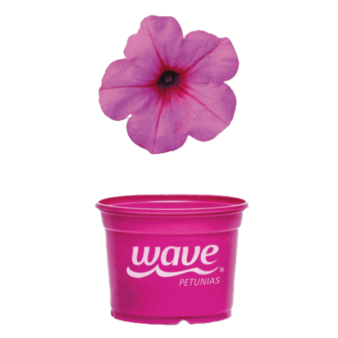 Flower Pot Sticker by Ball Horticultural Co