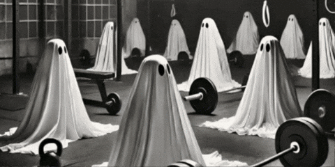 flexyflow giphygifmaker GIF