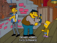 Season 1 GIF by The Simpsons