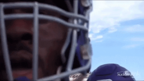 Go Wildcats GIF by ACU Football
