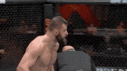 Sport Mma GIF by UFC