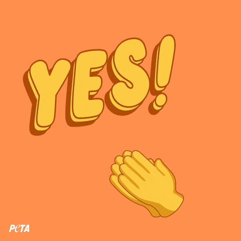 Animal Rights GIF by PETA