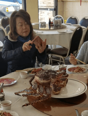 GIF by Demic