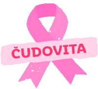 Pink October Sticker by Lidl Slovenija