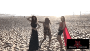 GIF by Stylush Couture