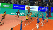 Happy Fun GIF by Volleyball World