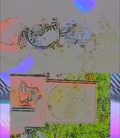 Art Glitch GIF by Flavisamurai