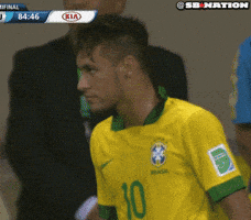 fifa GIF by SB Nation