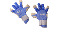 Goalkeepers Rukavice Sticker by BU1