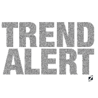 winter shoes Sticker by STZ