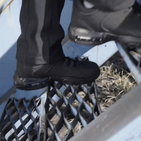 913607 giphyupload GIF