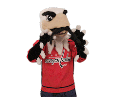 Ice Hockey Sport Sticker by NHL