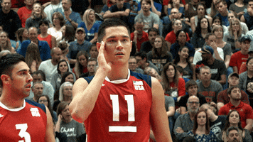 usavolleyball do it captain team usa you can do it GIF