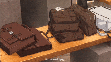 Bags GIF