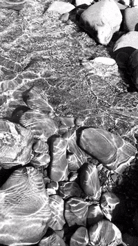 Black White Peace GIF