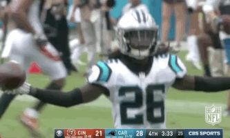 carolina panthers football GIF by NFL