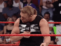 triple h wrestling GIF by WWE